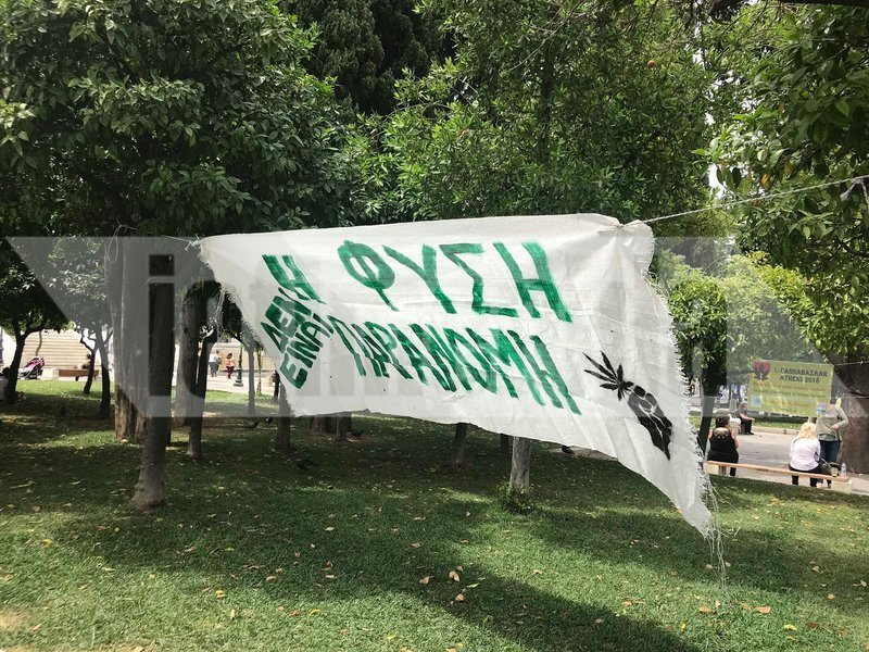 Εκδήλωση για την κάνναβη στο Σύνταγμα -Μητέρα εξηγεί πώς βοηθά το παιδί της [εικόνες & βίντεο] | iefimerida.gr 2