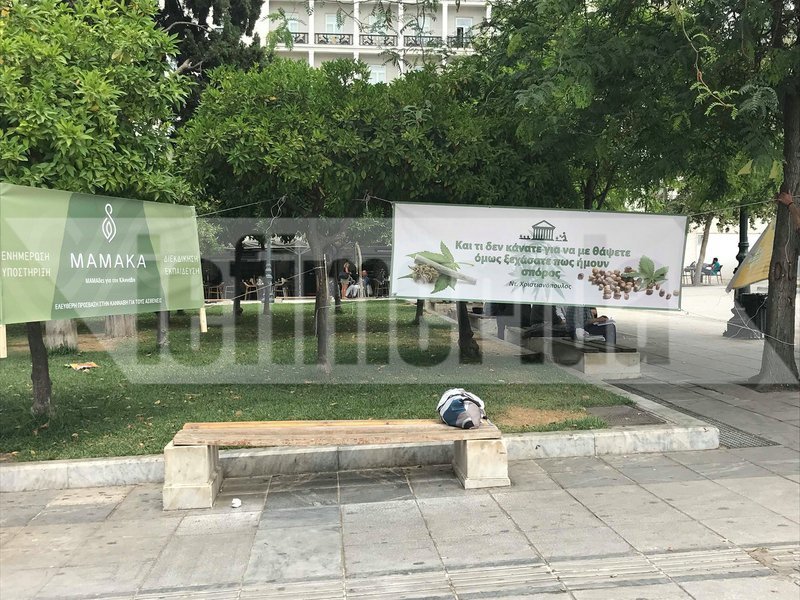 Εκδήλωση για την κάνναβη στο Σύνταγμα -Μητέρα εξηγεί πώς βοηθά το παιδί της [εικόνες & βίντεο] | iefimerida.gr 1