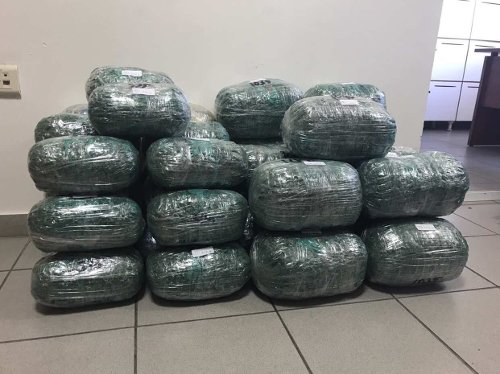 Kιλκίς: Συνελήφθησαν τρία άτομα για εισαγωγή και διακίνηση κάνναβης [εικόνες] | iefimerida.gr 2