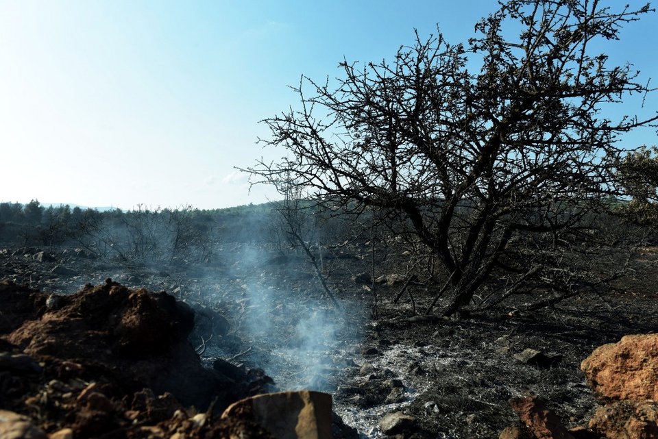 Η επόμενη μέρα από τις καταστροφικές πυρκαγιές -«Ζήσαμε την κόλαση του Δάντη, κοκκίνισε ο τόπος» [εικόνες] | iefimerida.gr 0