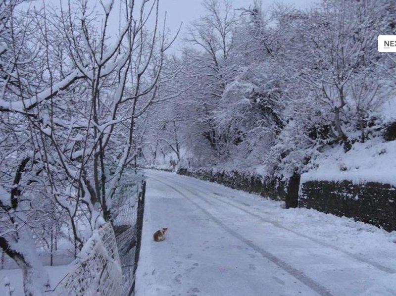 Στα λευκά η χώρα, προβλήματα από την κακοκαιρία – Χιόνια και χαμηλές θερμοκρασίες και σήμερα [εικόνες&βίντεο] | iefimerida.gr 1
