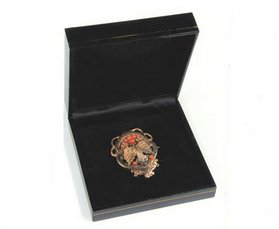 Στην Ιωάννα Κολλιοπούλου η καρφίτσα της Μελίνας Μερκούρη [εικόνες] | iefimerida.gr 0