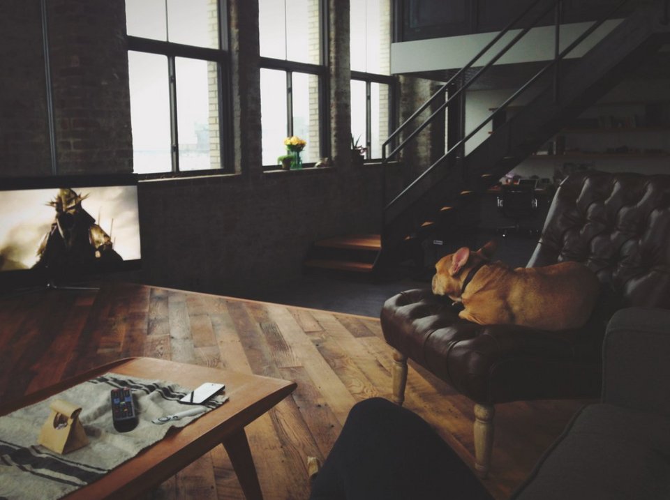 Εργένης ξανά ο δημιουργός του Τumblr -Παράτησε το σχολείο στα 14 και πριν τα 30 έγινε δισεκατομμυριούχος [εικόνες] | iefimerida.gr 5