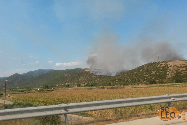 Υπό έλεγχο η πυρκαγιά στη Νέα Καρβάλη Καβάλας [εικόνες] | iefimerida.gr 0