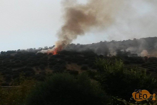 Υπό έλεγχο η πυρκαγιά στη Νέα Καρβάλη Καβάλας [εικόνες] | iefimerida.gr 2