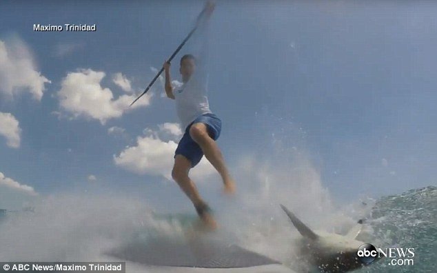 Έκανε surf και του την «έπεσε» καρχαρίας! [εικόνες & βίντεο] | iefimerida.gr 0