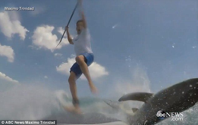 Έκανε surf και του την «έπεσε» καρχαρίας! [εικόνες & βίντεο] | iefimerida.gr 2