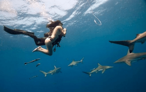 Οι καρχαρίες έχουν τη δική τους «γοργόνα»: Ακτιβίστρια κολυμπάει γυμνή μαζί τους για να τους σώσει [εικόνες&βίντεο] | iefimerida.gr 0
