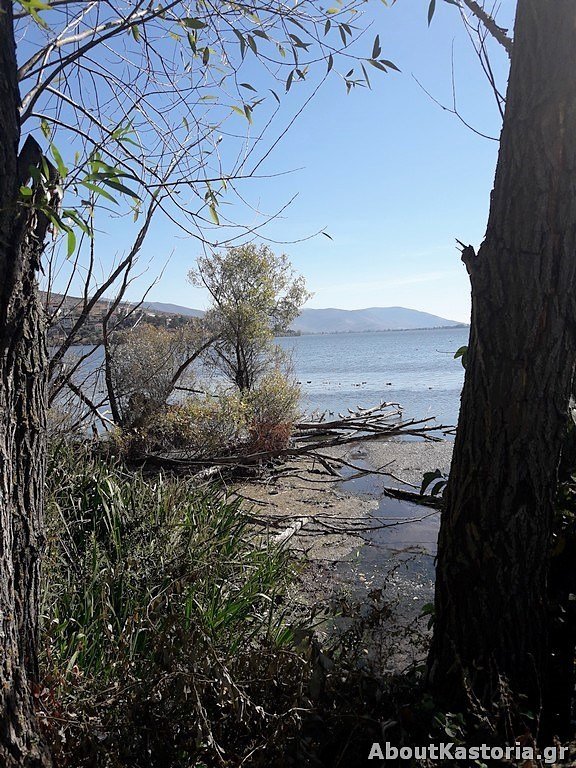 Μετά την Παμβώτιδα, «στέγνωσε» και η λίμνη της Καστοριάς -Ανησυχητικές εικόνες | iefimerida.gr 9