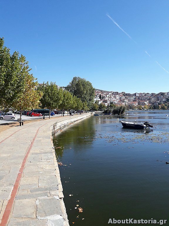 Μετά την Παμβώτιδα, «στέγνωσε» και η λίμνη της Καστοριάς -Ανησυχητικές εικόνες | iefimerida.gr 8