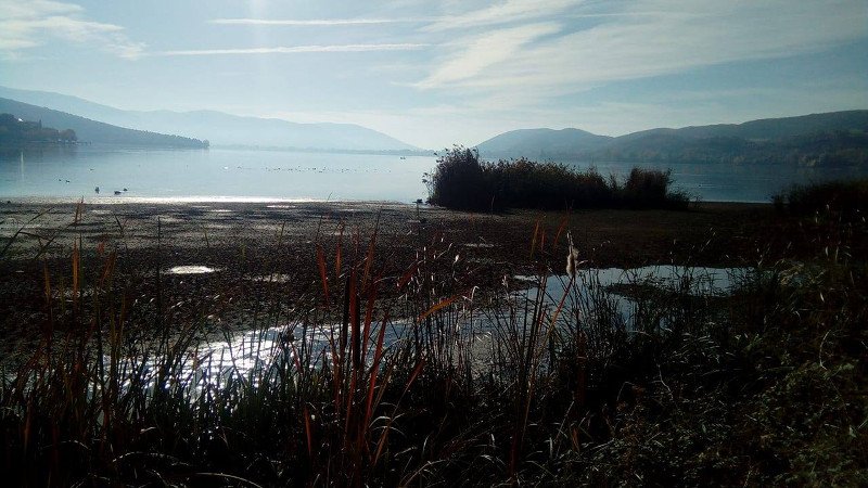 Καθησυχάζουν οι επιστήμονες για τη λίμνη της Καστοριάς: Εχει «στεγνώσει» ξανά [εικόνες] | iefimerida.gr 1