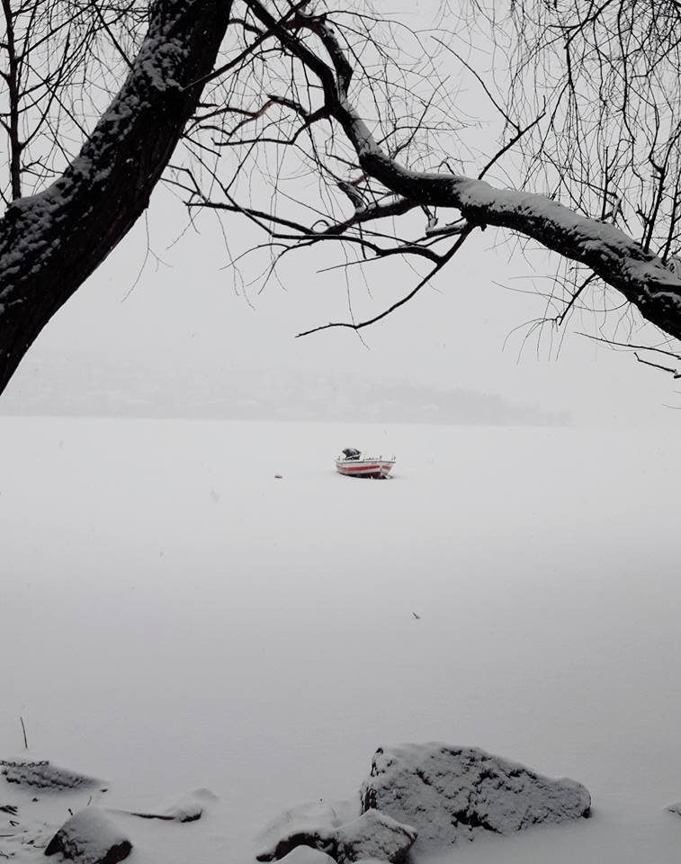 Σπάνιο θεάμα: Σε «λευκή πεδιάδα» μετατράπηκε η λίμνη της Καστοριάς [εικόνες] | iefimerida.gr 0