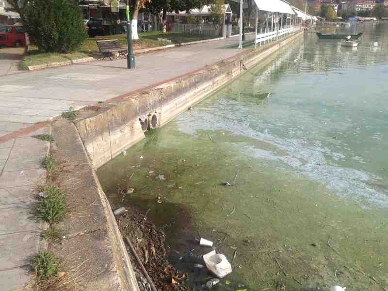 Η απόλυτη καταστροφή στη λίμνη της Καστοριάς [βίντεο + εικόνες] | iefimerida.gr 2