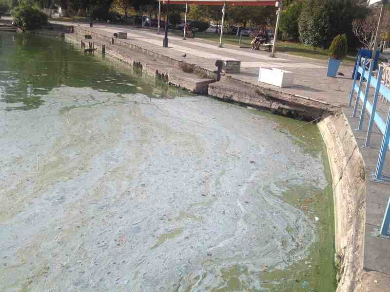 Η απόλυτη καταστροφή στη λίμνη της Καστοριάς [βίντεο + εικόνες] | iefimerida.gr 0