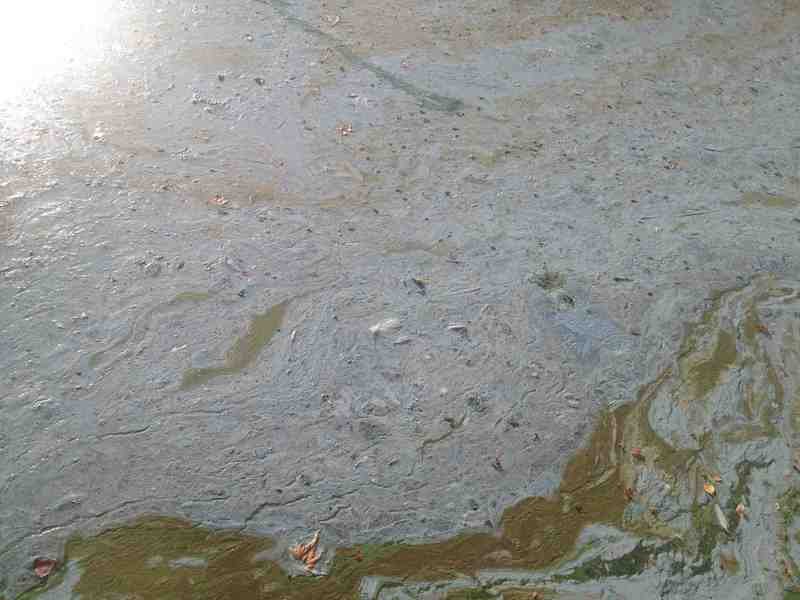 Η απόλυτη καταστροφή στη λίμνη της Καστοριάς [βίντεο + εικόνες] | iefimerida.gr 3