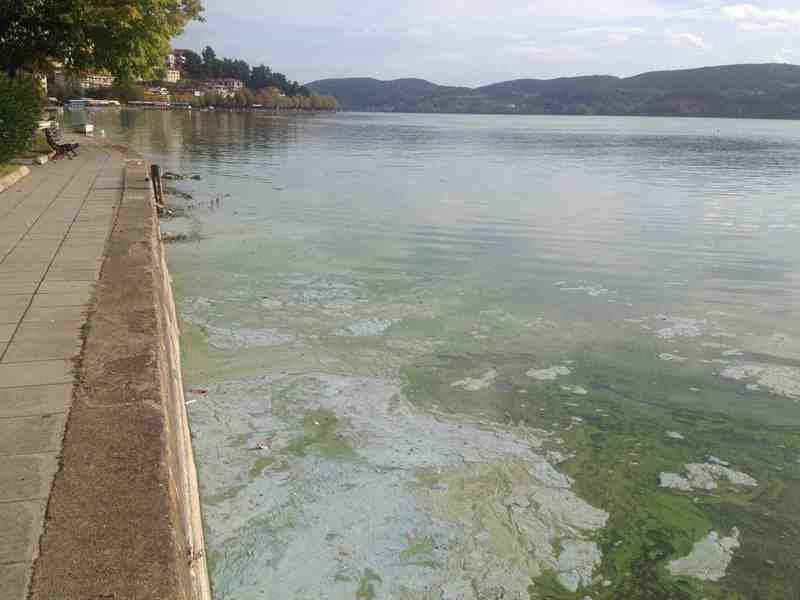Η απόλυτη καταστροφή στη λίμνη της Καστοριάς [βίντεο + εικόνες] | iefimerida.gr 6