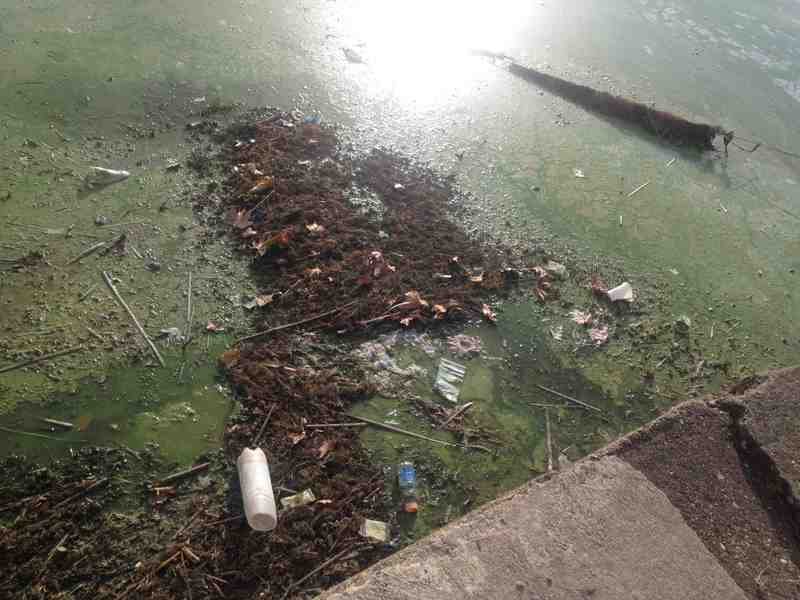 Η απόλυτη καταστροφή στη λίμνη της Καστοριάς [βίντεο + εικόνες] | iefimerida.gr 7