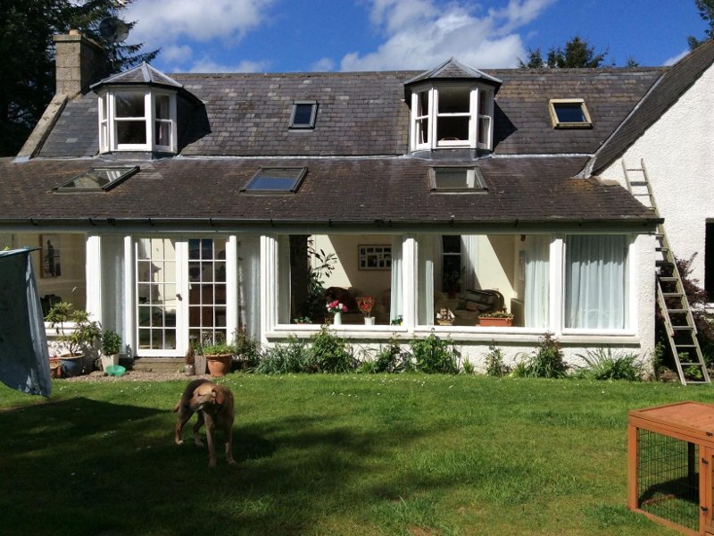 Αυτό το site σε βοηθά να ταξιδεύεις δωρεάν σε όλο τον κόσμο -Με έναν όρο: να προσέχεις κατοικίδια [εικόνες] | iefimerida.gr 3