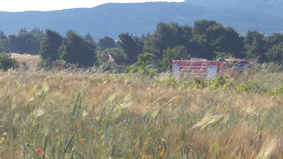 Υπό έλεγχο τέθηκε η φωτιά στον Αγιο Στέφανο [εικόνες] | iefimerida.gr 2