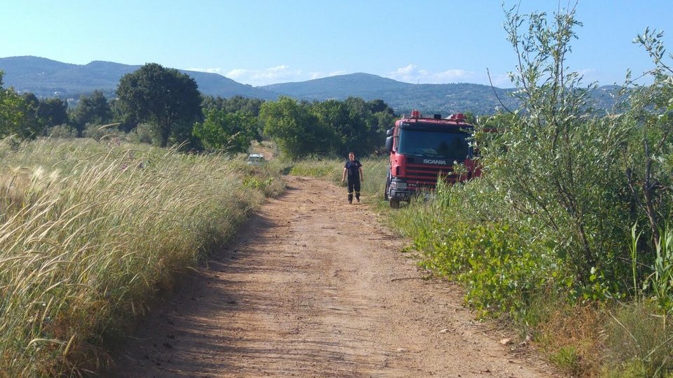 Υπό έλεγχο τέθηκε η φωτιά στον Αγιο Στέφανο [εικόνες] | iefimerida.gr 1