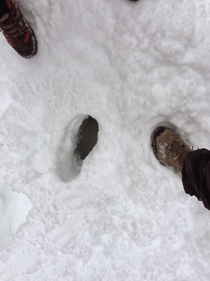 Μαγεύει ο παγωμένος καταρράκτης της Ξάνθης -Ενα έργο τέχνης από τις χαμηλές θερμοκρασίες [εικόνες & βίντεο] | iefimerida.gr 1