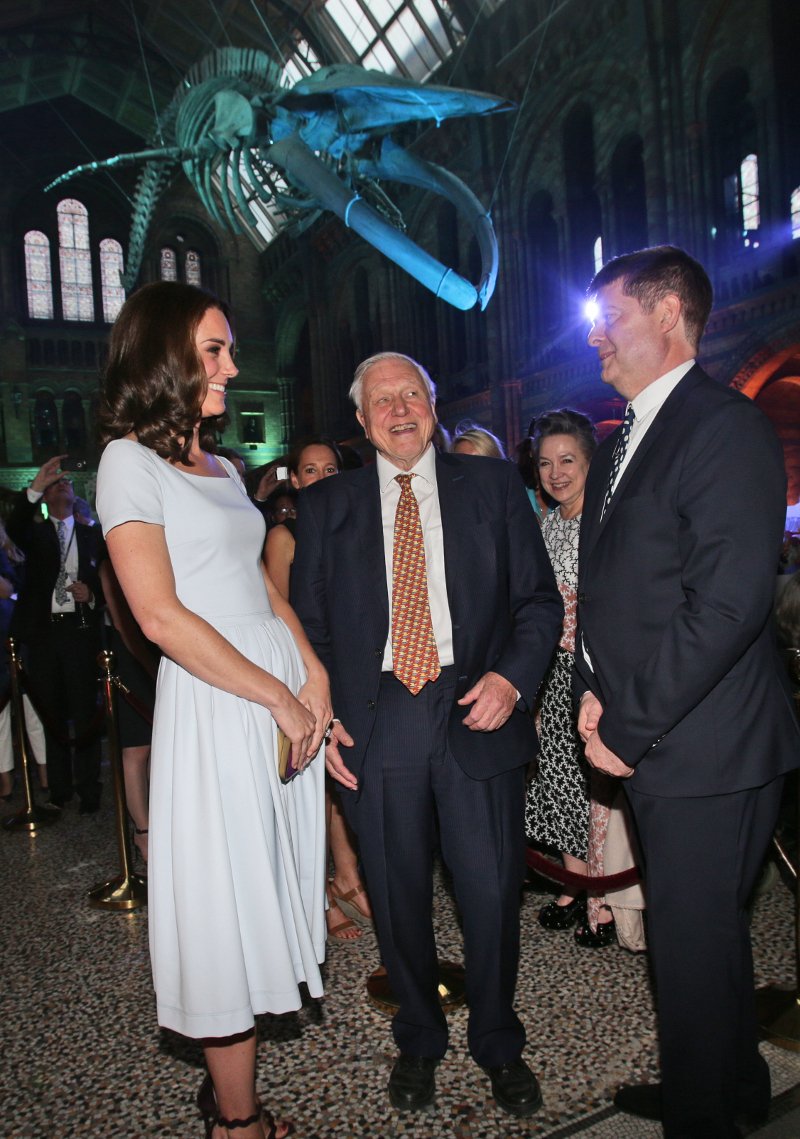 Sold out το γαλάζιο φόρεμα της Κέιτ Μίντλεντον μέσα σε 24 ώρες -Κοστίζει 723 ευρώ [εικόνες] | iefimerida.gr 0