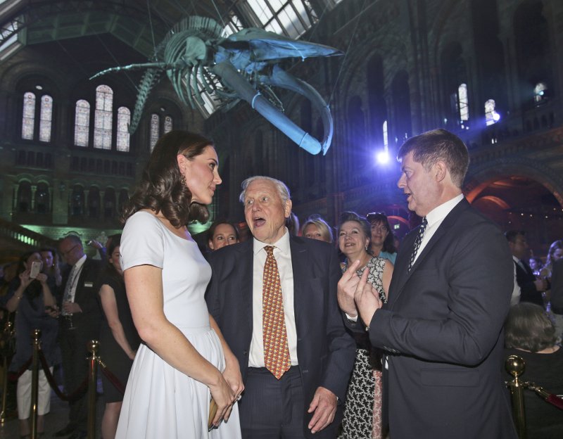 Sold out το γαλάζιο φόρεμα της Κέιτ Μίντλεντον μέσα σε 24 ώρες -Κοστίζει 723 ευρώ [εικόνες] | iefimerida.gr 1