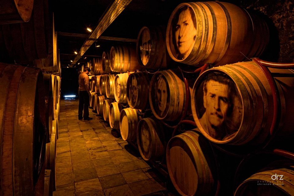 Βρετανός οινολόγος επισκέπτεται τους αμπελώνες του Αβέρωφ στο Μέτσοβο και μαγεύεται [εικόνα] | iefimerida.gr 3