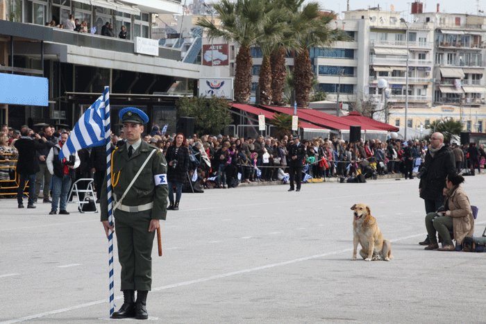 Παρελάσεις 25ης Μαρτίου: Λιποθυμίες, τραυματισμοί & εντυπωσιακές παρουσίες [εικόνες & βίντεο] | iefimerida.gr 0