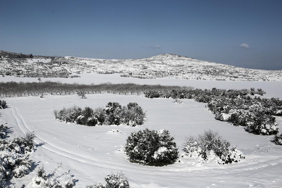 Στα λευκά η χώρα: Χιόνια στην Αττική και το κέντρο της Αθήνας [εικόνες] | iefimerida.gr 2