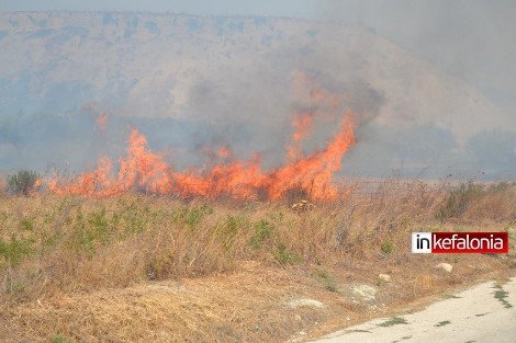 Ανείπωτη καταστροφή στη Θάσο – Στάχτη περισσότερα από 7.000 στρέμματα [εικόνες&βίντεο] | iefimerida.gr 5