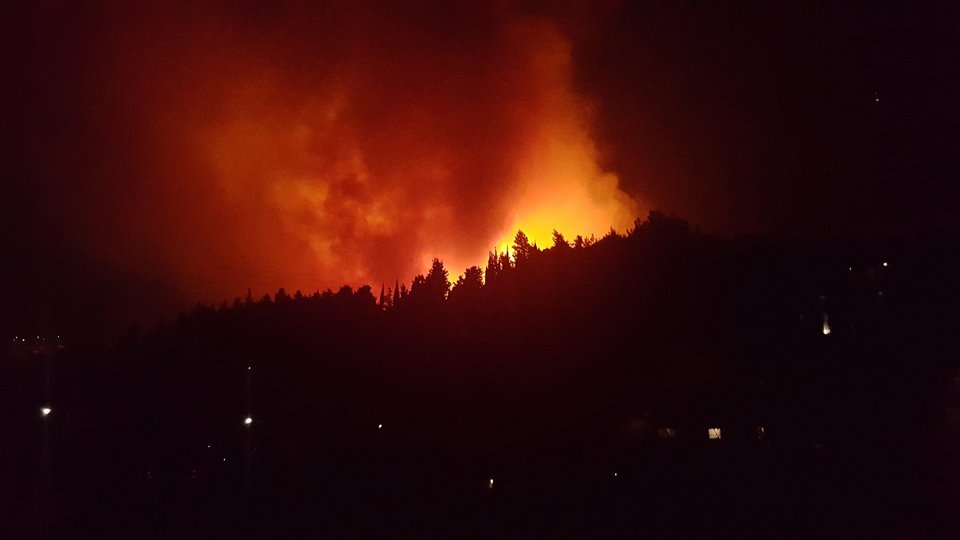 Μεγάλη φωτιά στην Κεφαλονιά: Καλύτερη η εικόνα, έσωσαν τα σπίτια οι πυροσβέστες | iefimerida.gr 10
