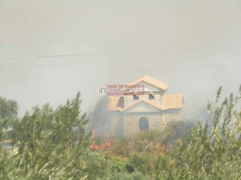 Ανείπωτη καταστροφή στη Θάσο – Στάχτη περισσότερα από 7.000 στρέμματα [εικόνες&βίντεο] | iefimerida.gr 6