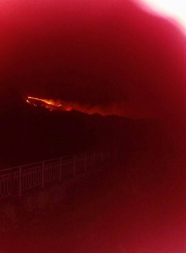 Μεγάλη φωτιά στην Κεφαλονιά: Καλύτερη η εικόνα, έσωσαν τα σπίτια οι πυροσβέστες | iefimerida.gr 9
