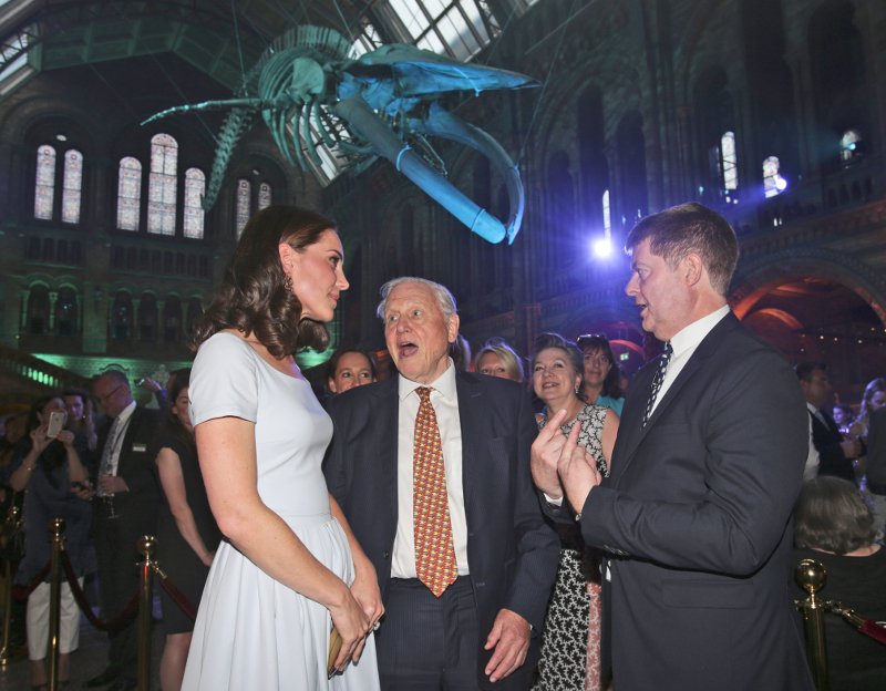 Το τρικ της Κέιτ Μίντλετον για να μην καταλαβαίνουν οι παπαράτσι ότι είναι έγκυος [εικόνες] | iefimerida.gr 0