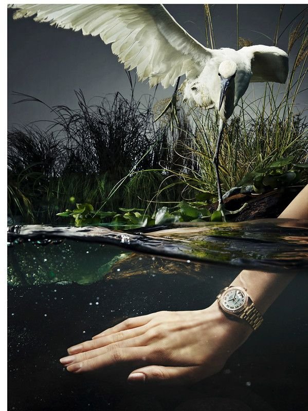 Είναι μοντέλο μόνο για χέρια και πόδια -Απίστευτη ιστορία [εικόνες] | iefimerida.gr 5