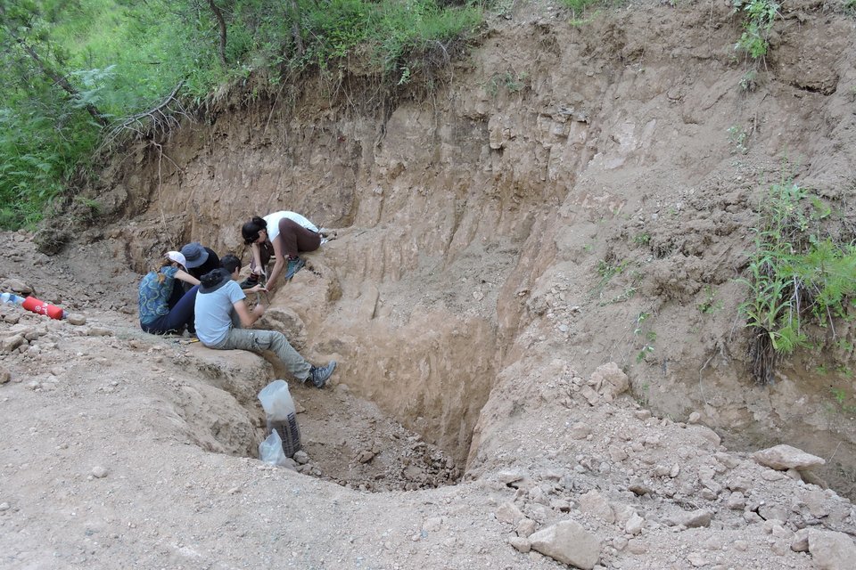 Απίστευτα ευρήματα στην Εύβοια -Κρανία και οστά από ρινόκερους, γαζέλες, μαχαιρόδοντες [εικόνες] | iefimerida.gr 0