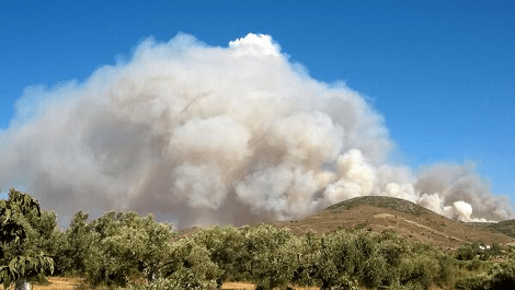 Μάχη με τις φλόγες στην Κερατέα - Σε απόσταση αναπνοής από σπίτια η φωτιά [εικόνες] | iefimerida.gr 4