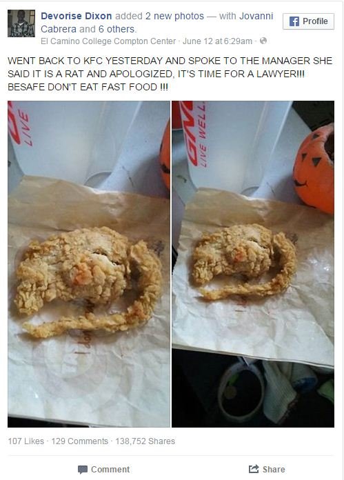 Τι έδειξε ο εργαστηριακός έλεγχος για τον «τηγανιτό αρουραίο» των KFC [εικόνα] | iefimerida.gr 0