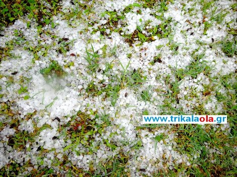 Εντονη χαλαζόπτωση  στα Τρίκαλα -Καταστροφές σε καλλιέργειες [εικόνες & βίντεο] | iefimerida.gr 3