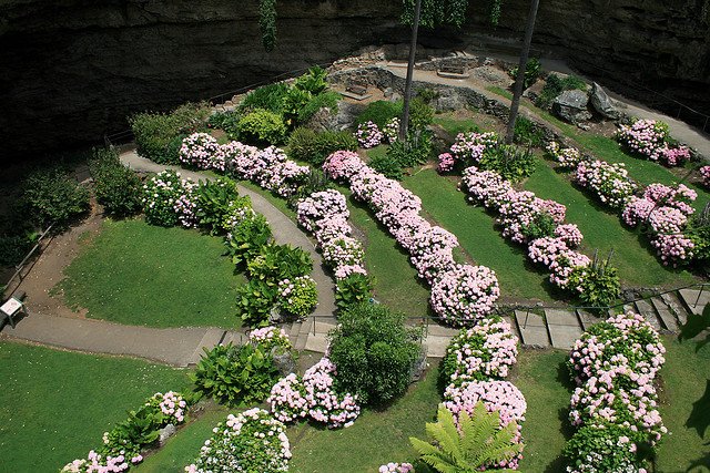 Άμφερστον: Το εντυπωσιακό βυθισμένο πάρκο της Αυστραλίας [εικόνες] | iefimerida.gr 6
