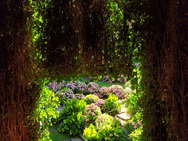 Άμφερστον: Το εντυπωσιακό βυθισμένο πάρκο της Αυστραλίας [εικόνες] | iefimerida.gr 8