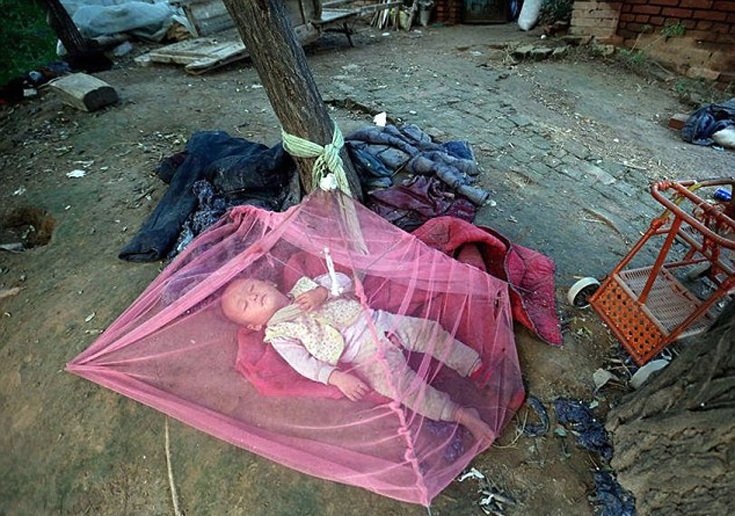 Αδιανόητο: Αγρότης δένει τη γυναίκα και το παιδί του σε στύλο για να μη το σκάσουν [εικόνες]  | iefimerida.gr 6