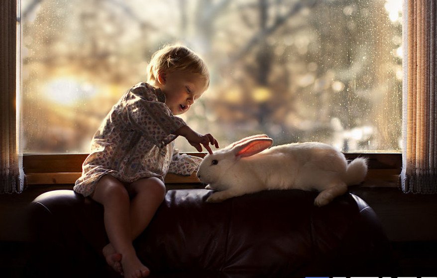 Ταλαντούχα μαμά βγάζει μαγευτικές φωτογραφίες τους γιους της στην ονειρική φάρμα τους [εικόνες] | iefimerida.gr 5