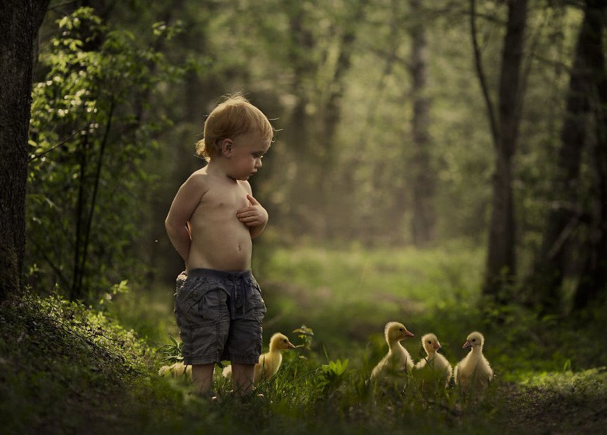 Ταλαντούχα μαμά βγάζει μαγευτικές φωτογραφίες τους γιους της στην ονειρική φάρμα τους [εικόνες] | iefimerida.gr 6