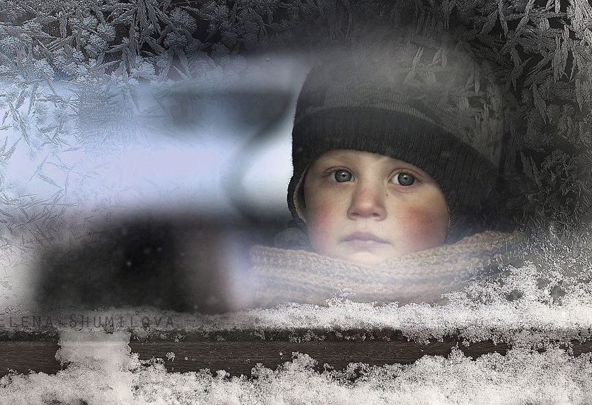Ταλαντούχα μαμά βγάζει μαγευτικές φωτογραφίες τους γιους της στην ονειρική φάρμα τους [εικόνες] | iefimerida.gr 0