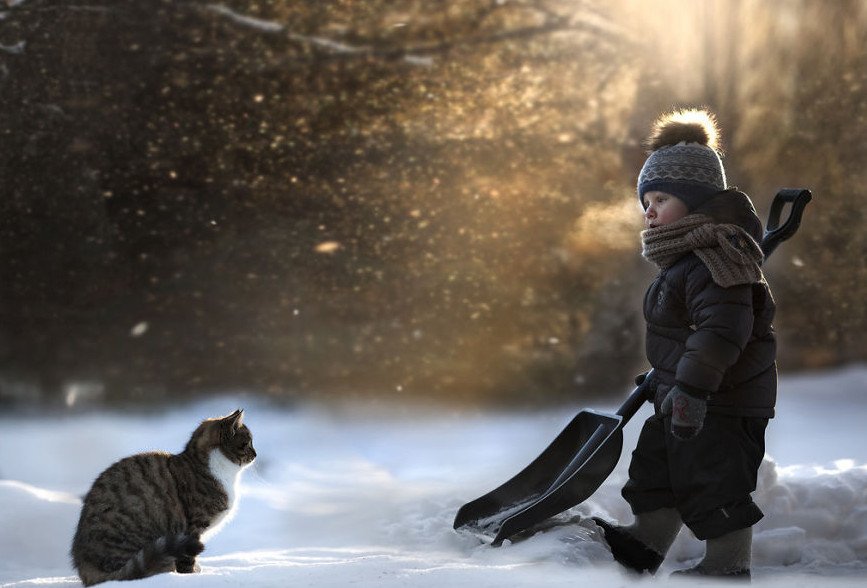 Ταλαντούχα μαμά βγάζει μαγευτικές φωτογραφίες τους γιους της στην ονειρική φάρμα τους [εικόνες] | iefimerida.gr 1