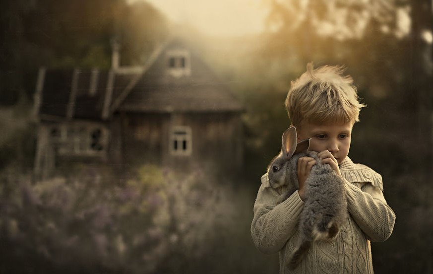 Ταλαντούχα μαμά βγάζει μαγευτικές φωτογραφίες τους γιους της στην ονειρική φάρμα τους [εικόνες] | iefimerida.gr 4