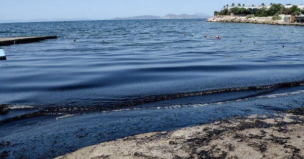 Απίστευτο γέλιο στο Twitter με την πετρελαιοκηλίδα: 1 κιλό σαρδέλες Σαρωνικού για προσάναμμα! [εικόνες] | iefimerida.gr 6