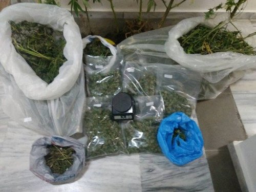 Kιλκίς: Αστυνομικοί εντόπισαν 39χρονο να καλλιεργεί κάνναβη [εικόνες] | iefimerida.gr 0